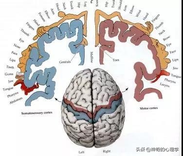 你是在看她，还是在看她的脚|关于恋足癖的两三事