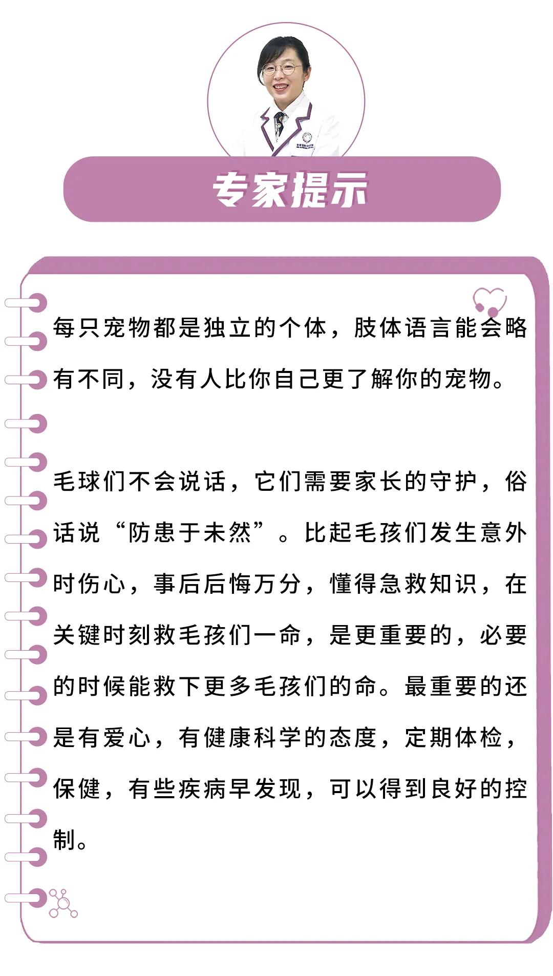 瀹犵埍鍥介檯鍔ㄧ墿璇婄枟涓績,瀹犵埍鍥介檯鍔ㄧ墿鍖婚櫌鍖椾含瑗跨珯