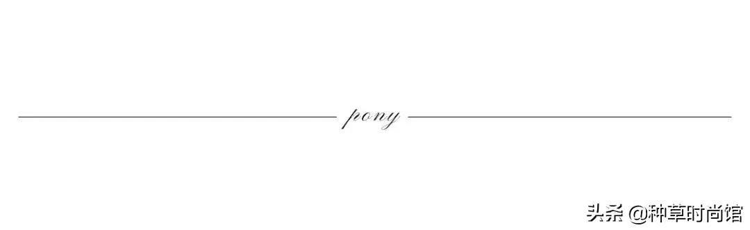 郑秀妍爱马仕视频,人间爱马仕郑秀妍