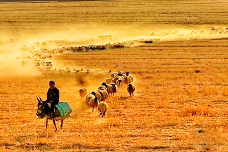 如何拍好风景摄影技巧,摄影小技巧拍出光影