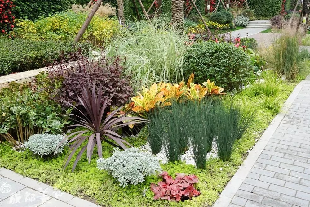 被学生吐槽最多的中医大老校区，没想到还是个“宝藏地”