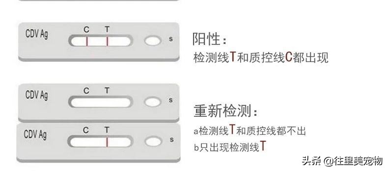 带宠物去宠物医院检查身体多少钱,宠物看病去哪里报销啊多少钱