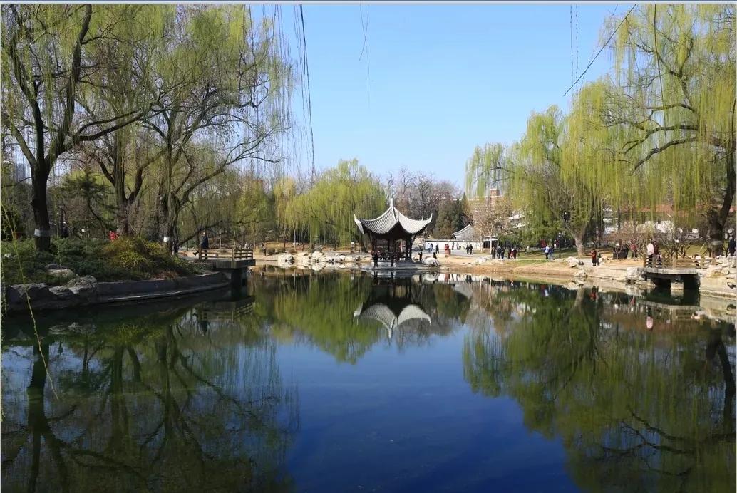 美丽宜居环境建设,美丽宜居街区改善项目