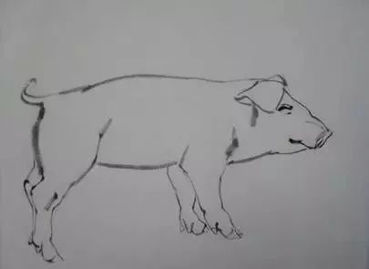 猪年国画：猪的绘画步骤