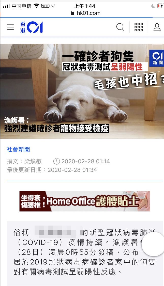 香港确诊者的狗对新冠病毒呈弱阳反应，但莫慌，可能只是沾到病毒