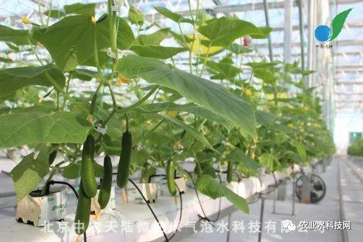 营养液在无土栽培的时候怎么增氧,无土栽培的营养液是怎么配制