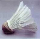 羽毛球为什么是16根羽毛,羽毛球一直是一样的握拍吗