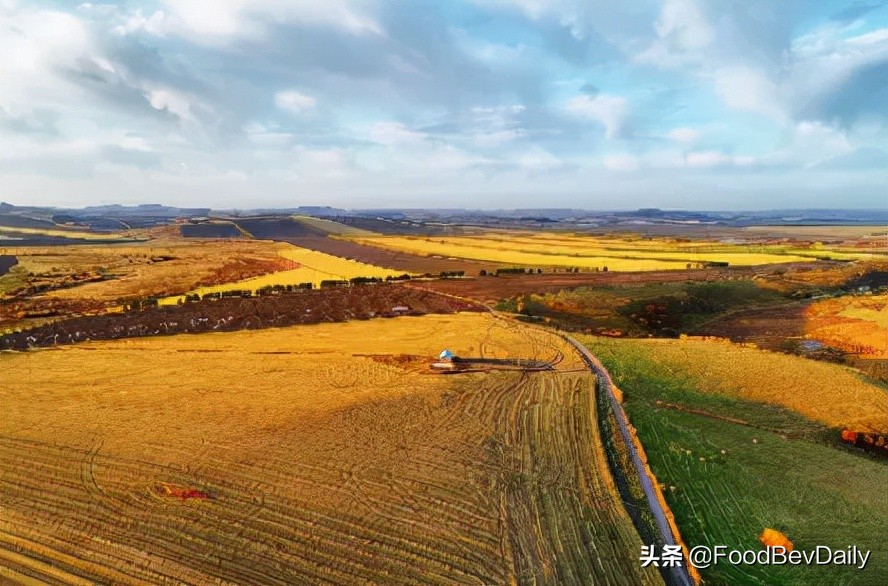 十月稻田正宗大米好吃吗,十月稻田五常大米直播热销第一名