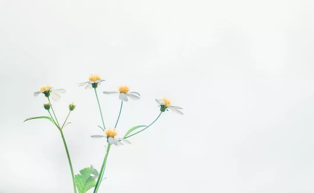 中山大学mba提前面试,mba提前面试背景重要吗