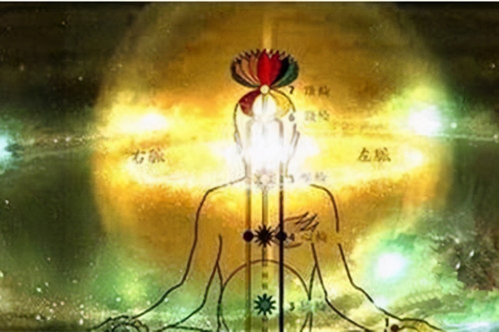 中医怎么解释病毒细菌,中医怎么形容病毒