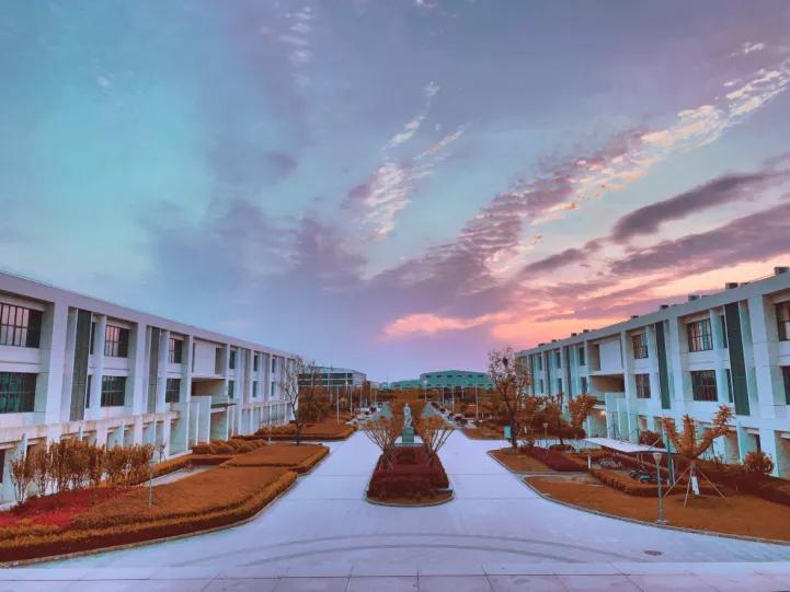 南通大学杏林学院多大面积,南通大学杏林学院排名