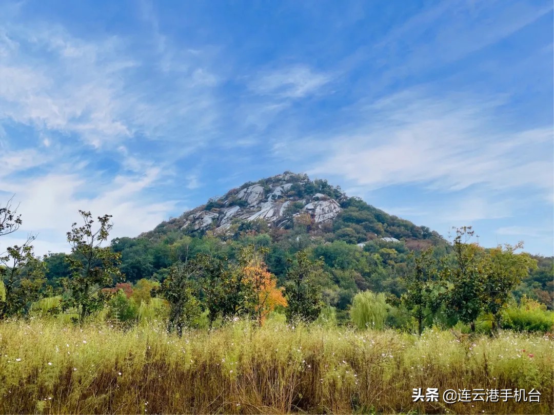 连云港赏秋最佳地点,连云港附近秋天值得去看的地方