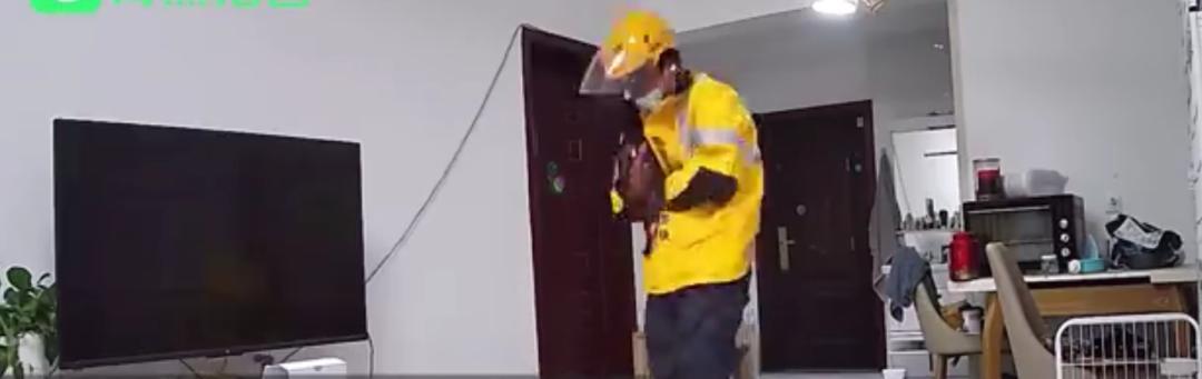 铲屎官领狗狗旅游,铲屎官不在家应该怎么安顿狗狗