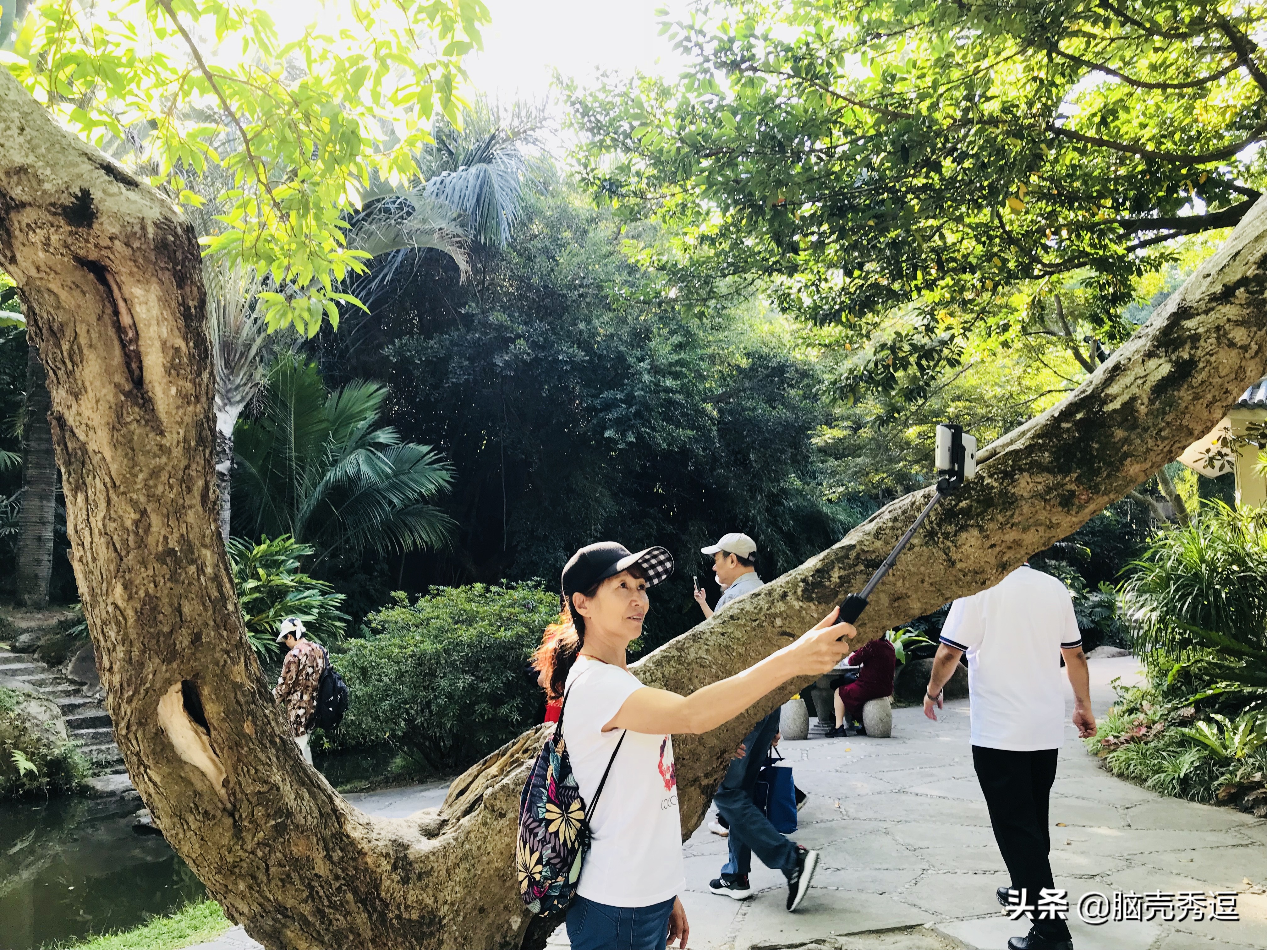 厦门四天自由行攻略最详细,厦门自由行攻略5天详细