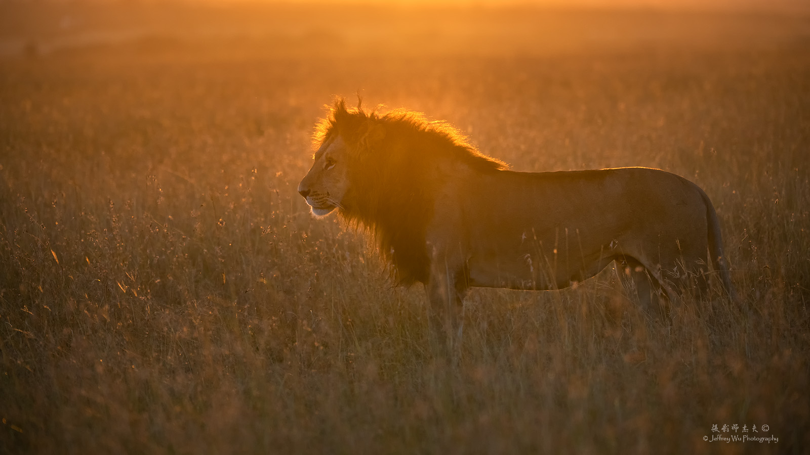 尼康d850完全摄影指南,尼康d850大变焦镜头推荐