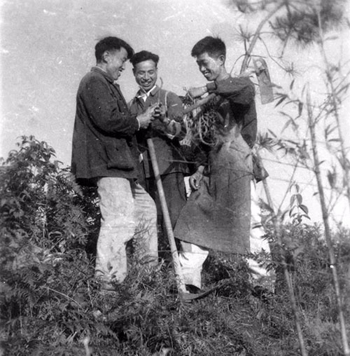 没有经费仍然坚持研究，他揭开了天麻生长的全部奥秘，药农为他立碑塑像