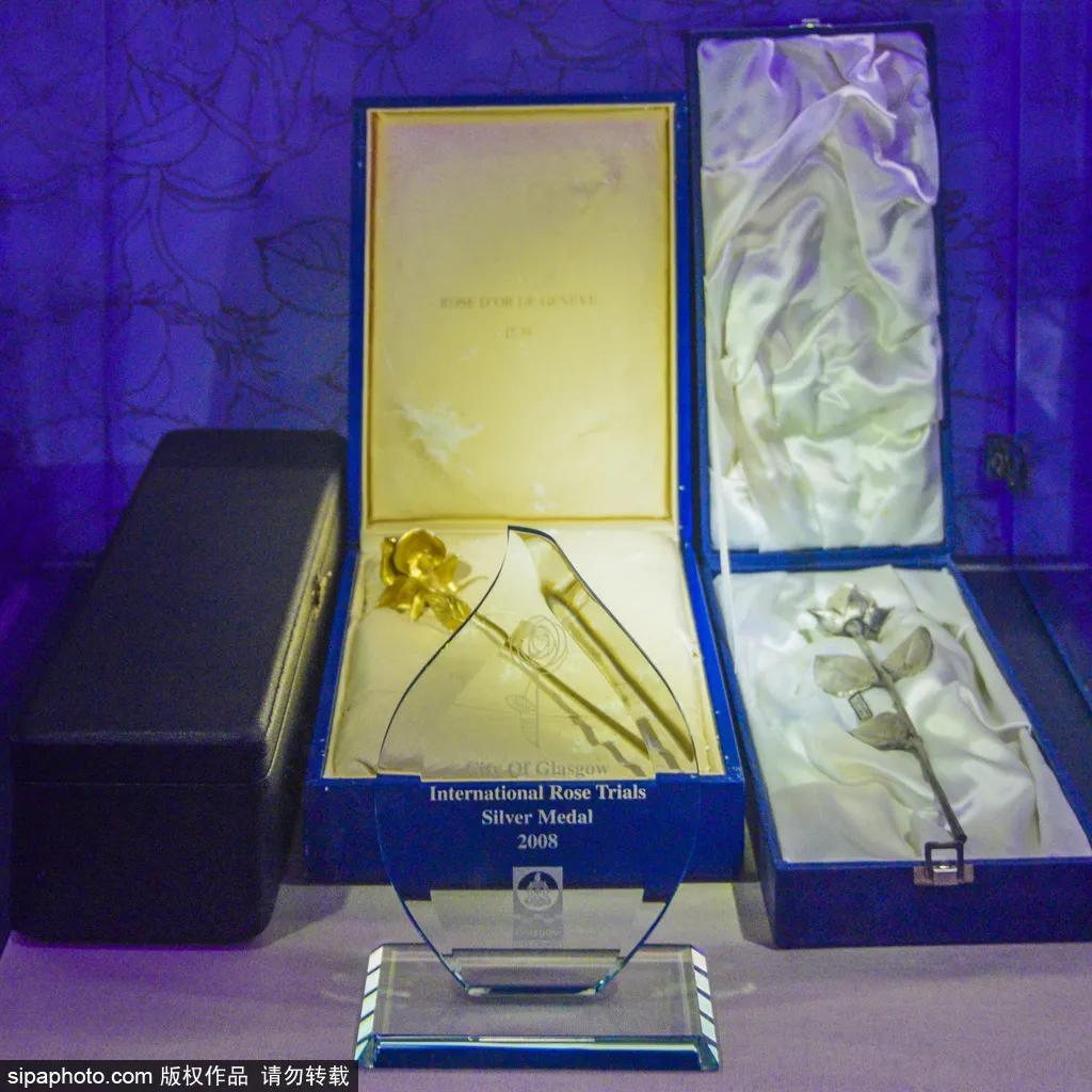 全球最美十大花海美到令人心醉,全球最漂亮花海