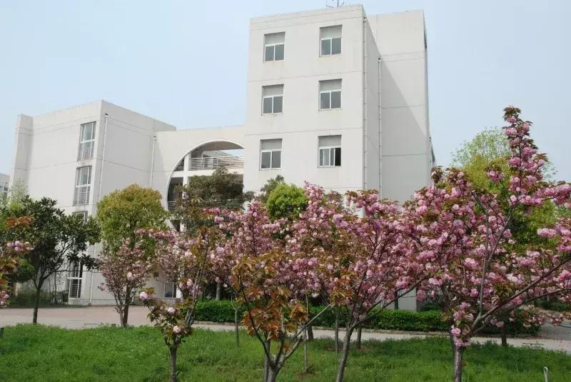 天平学院为何搬到南京去,天平学院位置