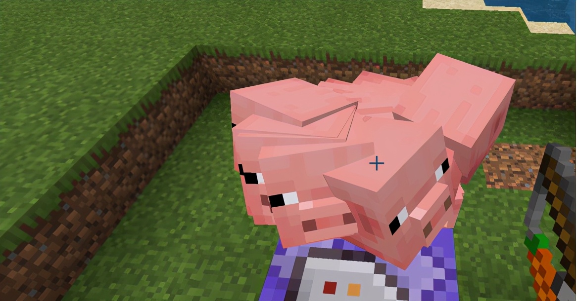 地狱九头猪？公鸡生雪蛋《我的世界》这两条指令造了什么出来？