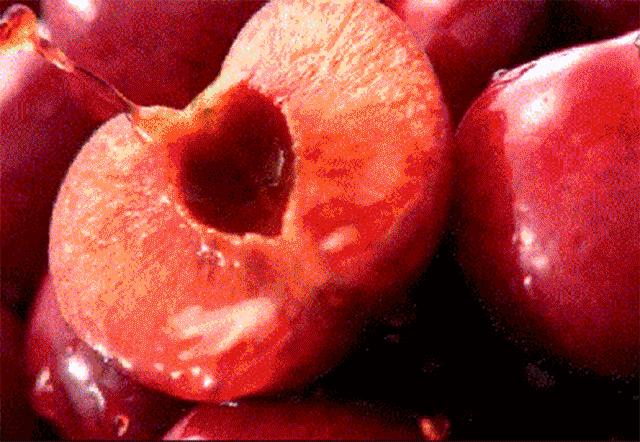 外设键鼠推荐100元以内,618无线机械键鼠