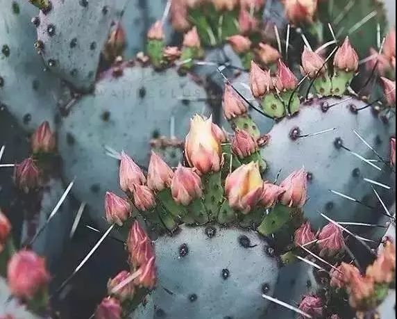 她辞去总监回家扶贫后续,她辞去总监回家扶贫结局