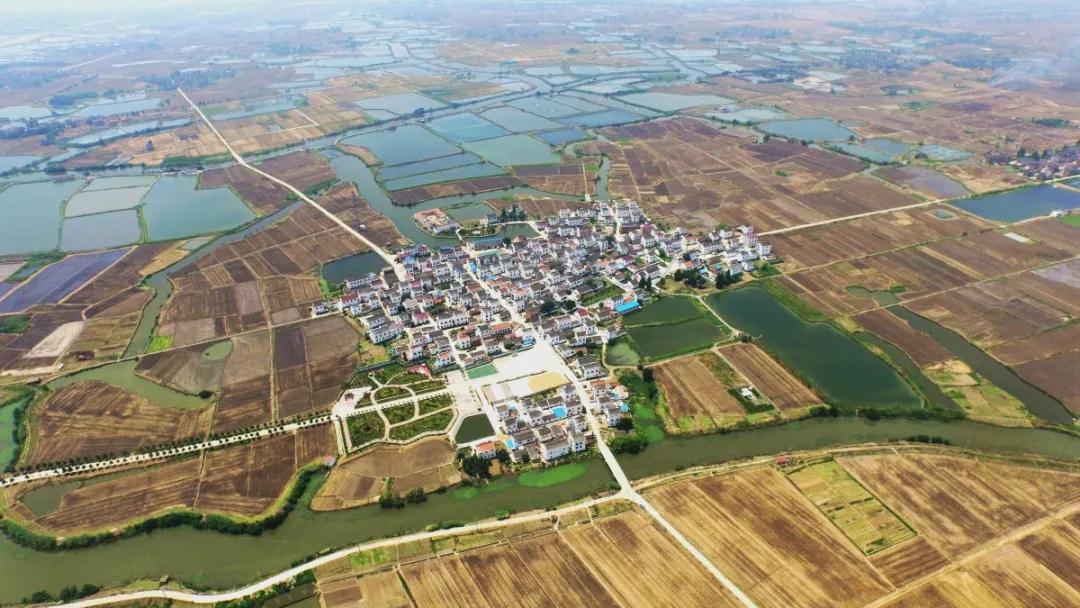 常州金坛最美乡村,金坛有哪些美丽乡村