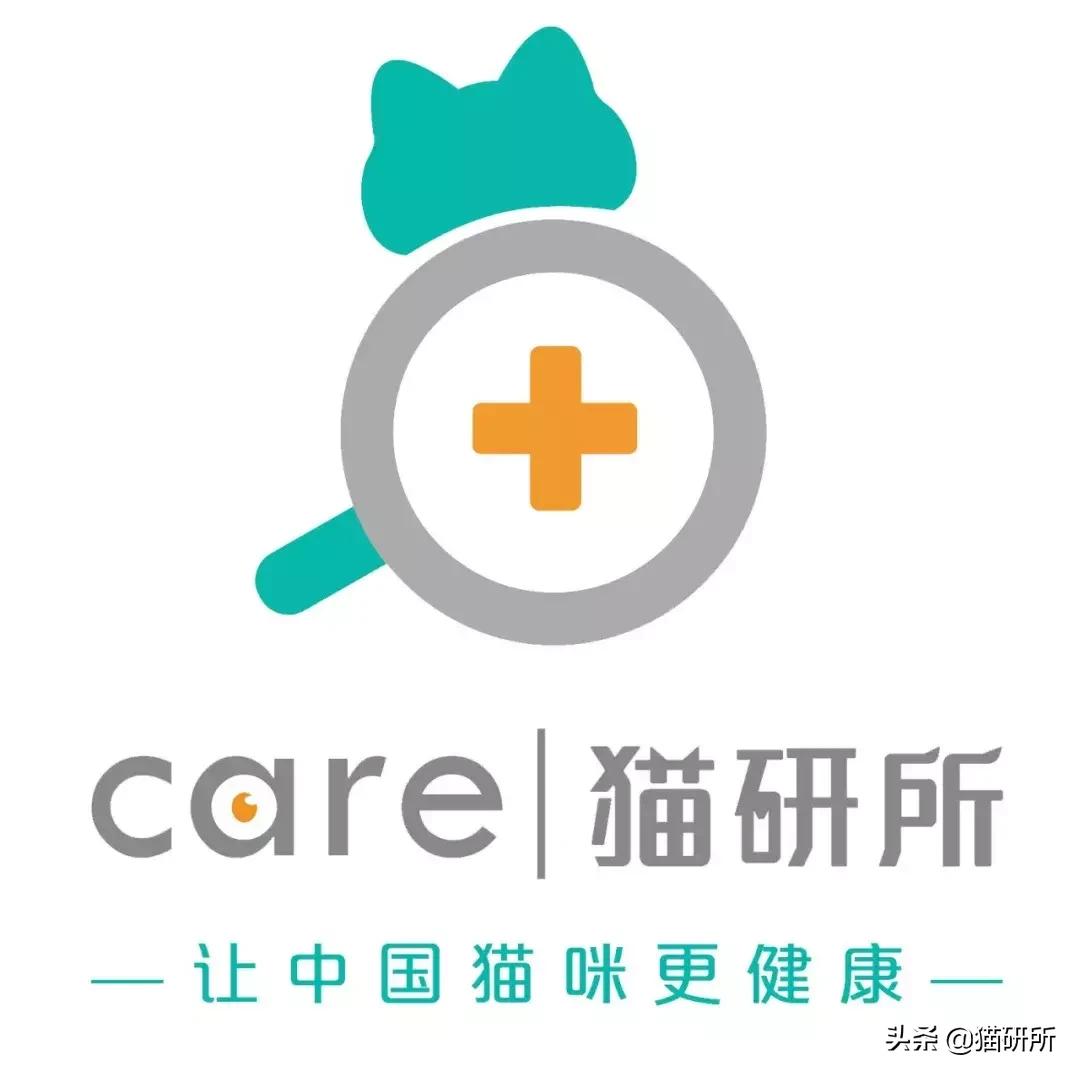 辟谣猫咪真的会记仇吗,有睾丸的猫咪是男猫还是女猫