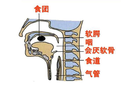 中医如何治疗硬腭癌,软腭癌最佳治疗方法案例