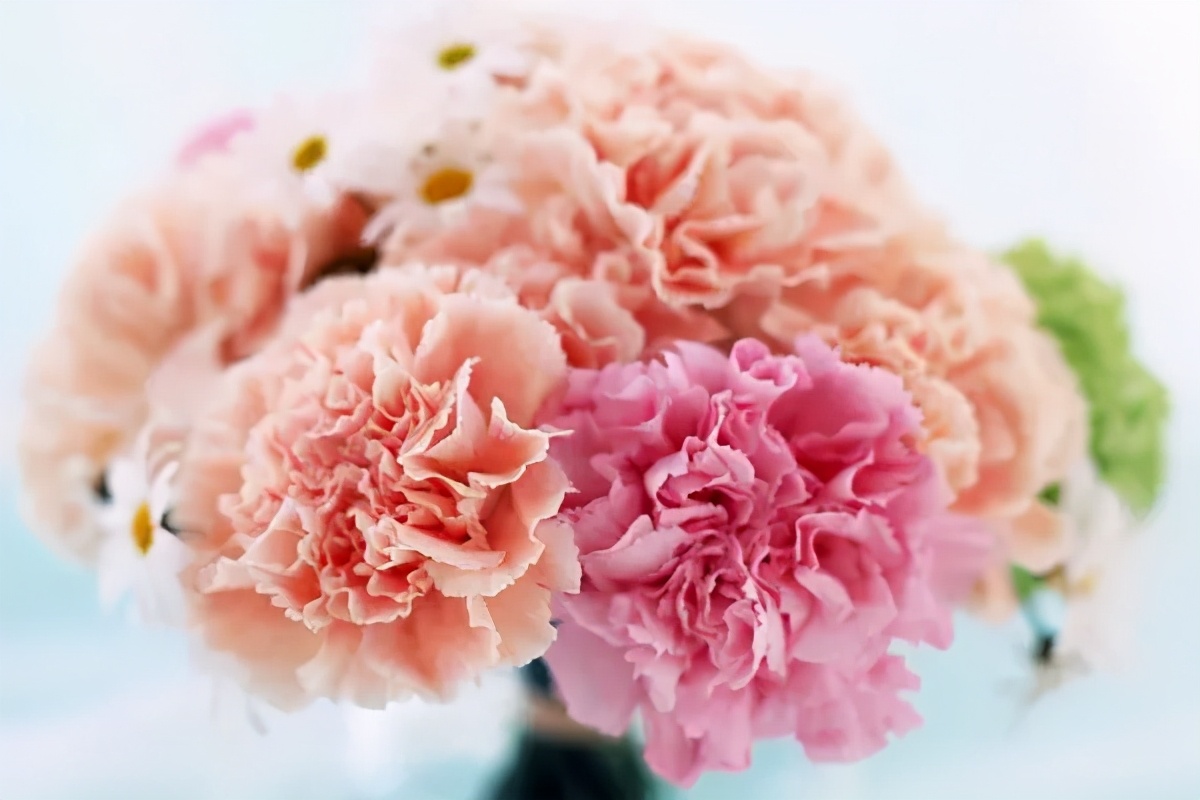 十二星座男生水瓶座专属的礼服,12星座专属香水男生