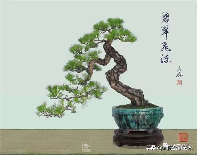寒松纵老风骨在——赏松杂谈