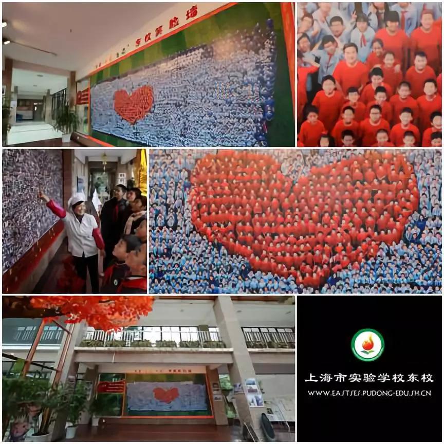 2023年上海五年一贯制新学校,上海一贯制双语学校排名