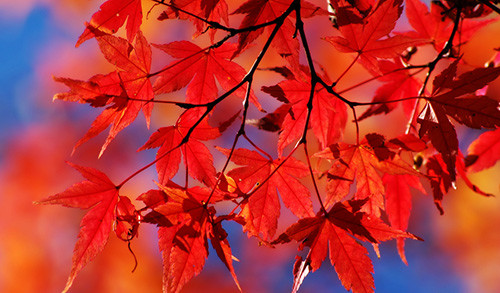 宁波东钱湖温泉酒店排行榜,宁波东钱湖旅游度假酒店推荐