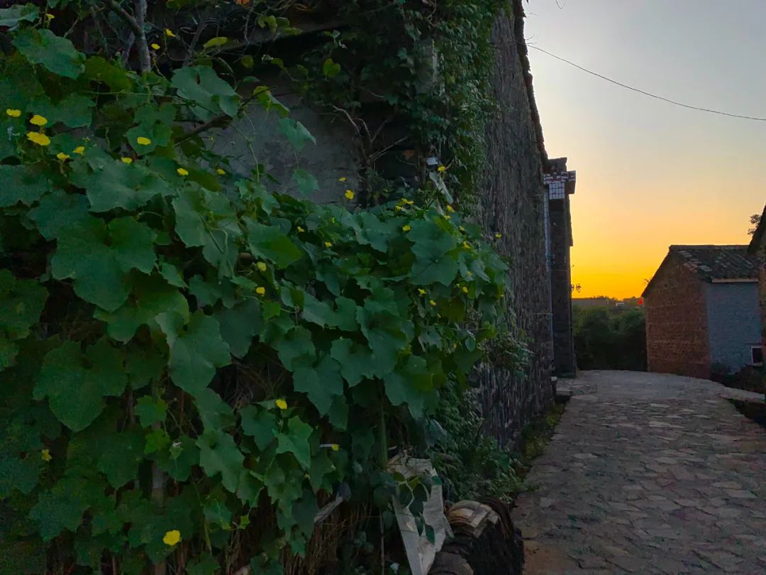 还没想好国庆去哪？自驾2.5小时，在秋日里泡温泉吃美食