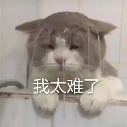 鍚屼粊鍖婚櫌绾夸笂闂瘖,鍚屼粊鍖婚櫌鍙戠儹闂ㄨ瘖灏辫瘖娴佺▼