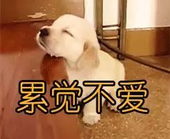 欠60万网贷太多如何走出困境,欠了10万网贷该怎么办