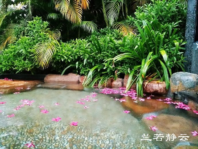 厦门日月谷温泉酒店预订价格,厦门日月谷温泉酒店套餐