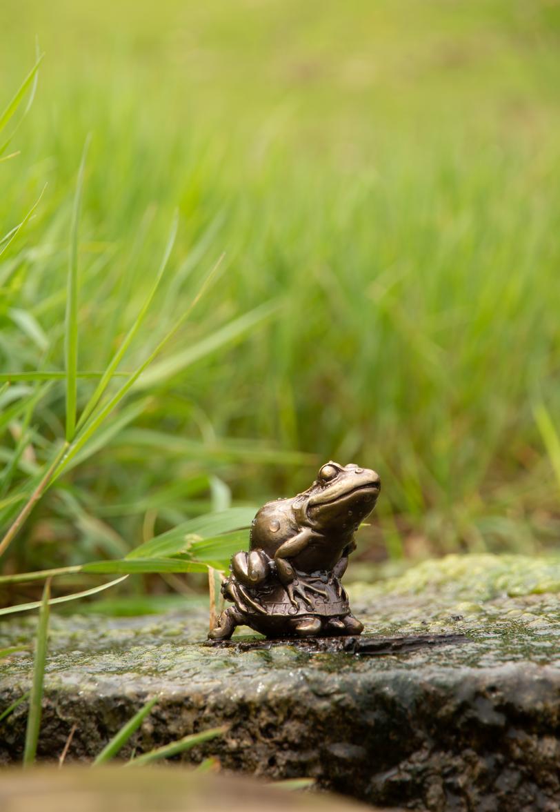 茶宠：席间清供，玩物养志