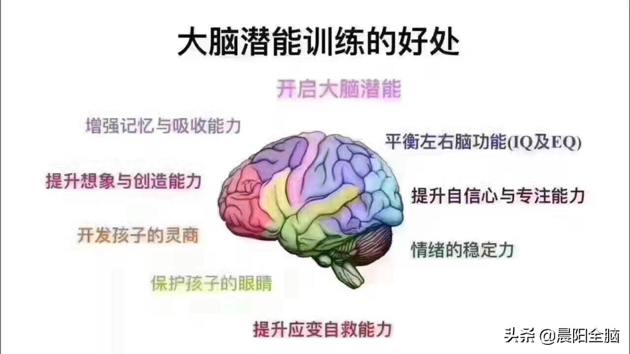 全脑开发右脑技巧,右脑左脑开发怎么训练