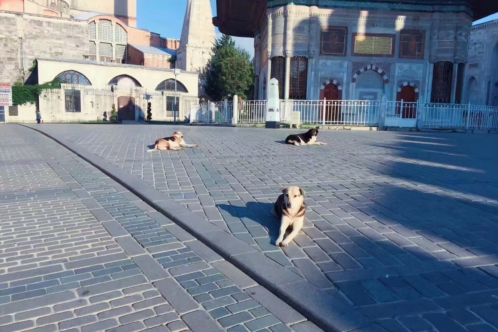 10天旅游攻略6月,1月份短期3天旅行推荐