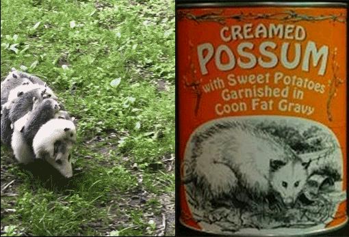 外国人谈中国人不吃罐头,当老外得知中国人不喜欢吃罐头