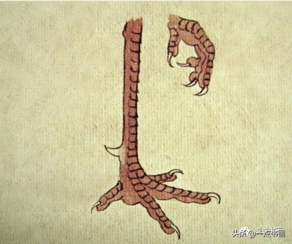 工笔国画孔雀画高清大图,工笔孔雀的画法步骤