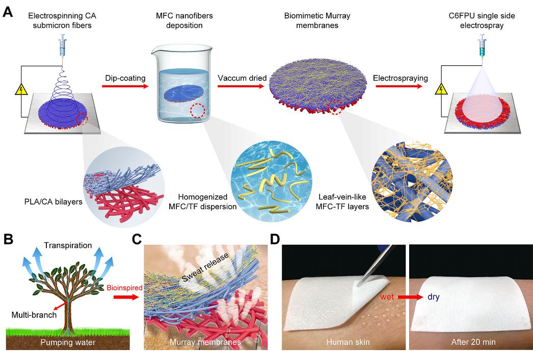 acsnano开源吗,acsnano需要提供原始数据吗