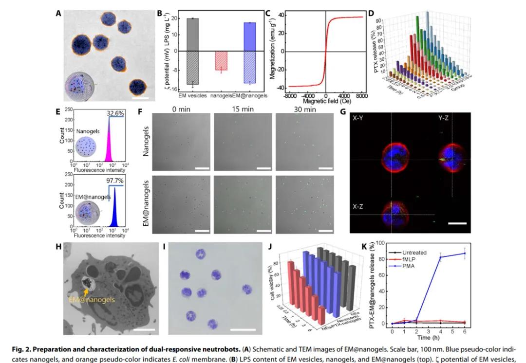 纳米磁控靶向机器人,哈工大肿瘤靶向纳米机器人
