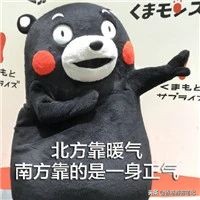 去香港必买的药品胃炎,香港十大必买药品第一名