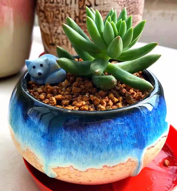 顺风不浪逆风不怂文字图片,顺风不飘逆风不怂绝境不慌