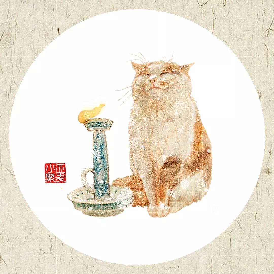 可爱的橘猫插画,一组可爱的治愈系猫咪插画