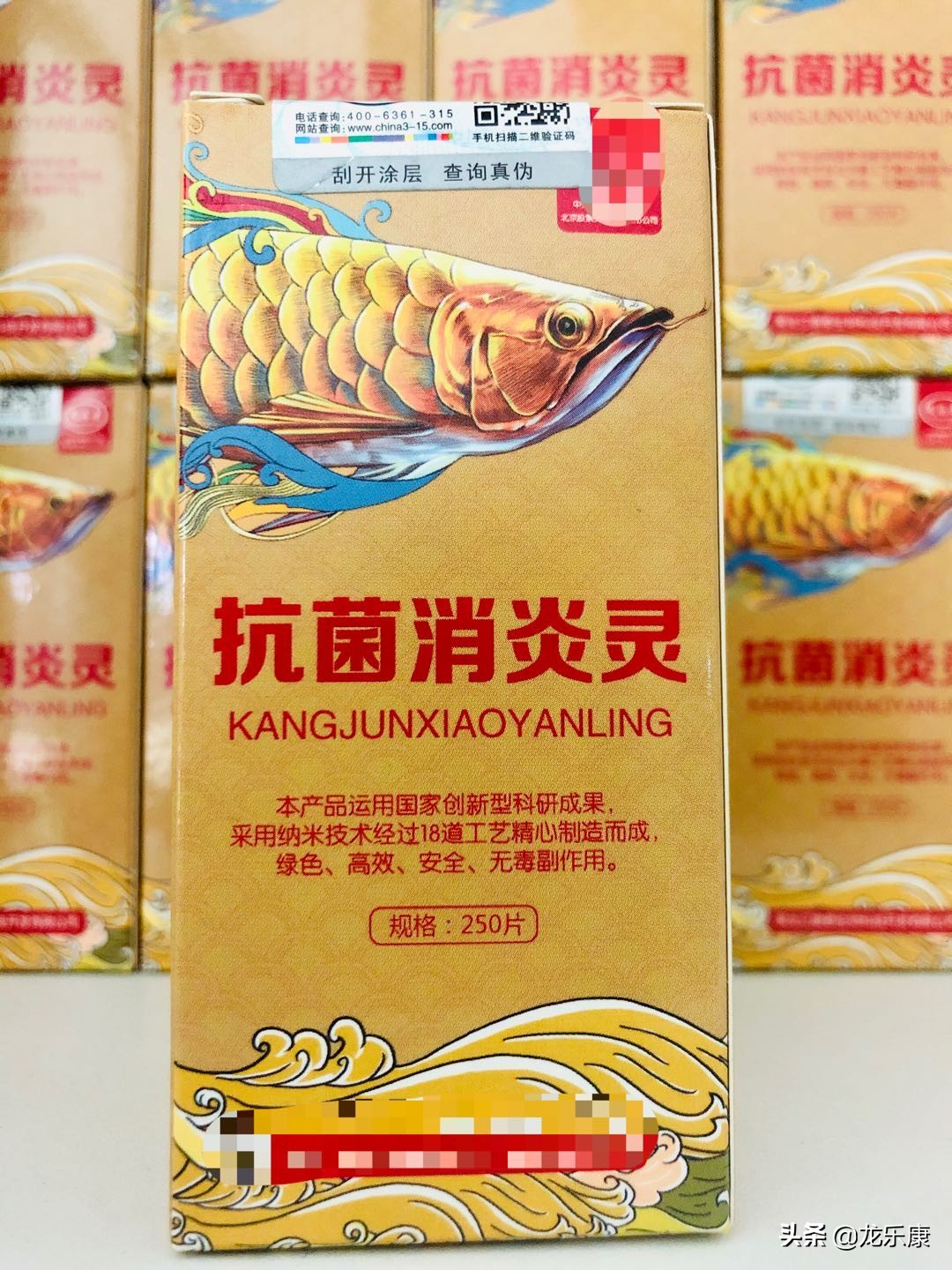 龙鱼疾病的概况,龙鱼突发疾病