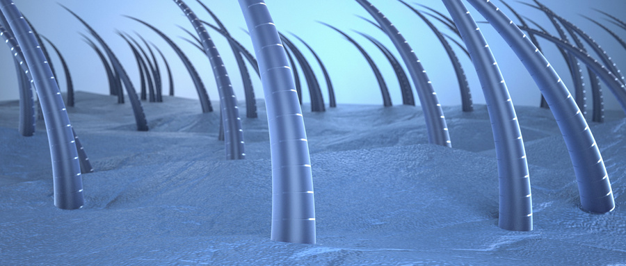 有头屑头皮痒怎么解决小妙招,去头屑头皮痒最有效的办法