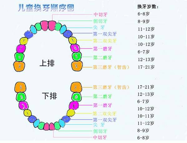 6岁龄换牙哪些牙齿不换,六岁换牙大牙换不换