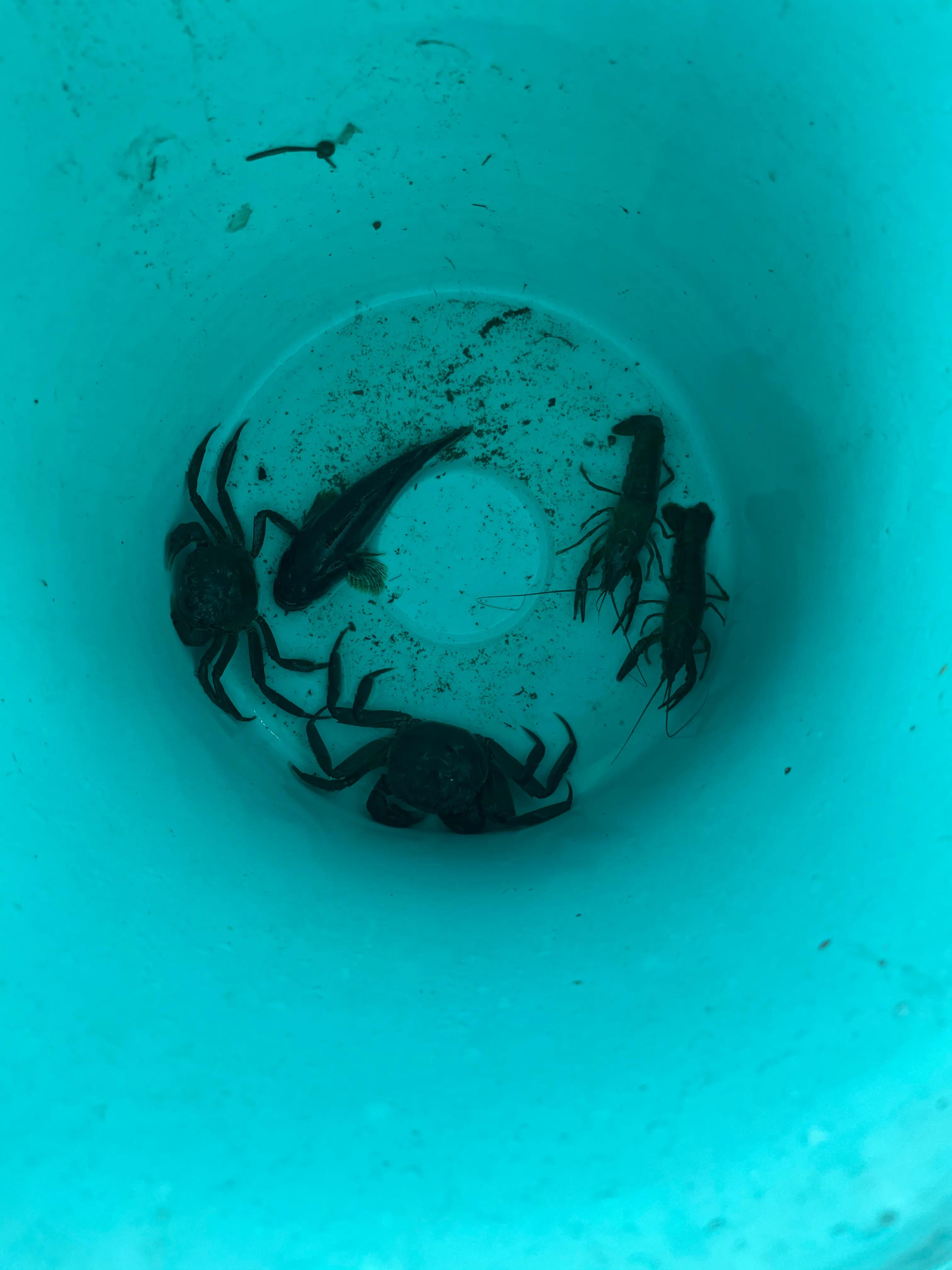 家乡门前的田野,家乡门前的一条河